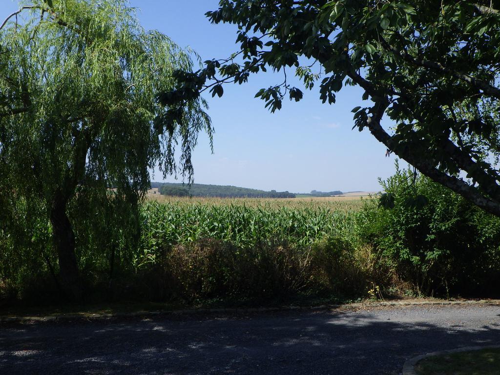 Les Gites Du Vieux Frene Longavesnes Exterior foto